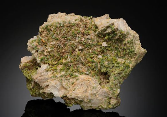 CC12235 specimen image