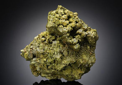 CC12295 specimen image
