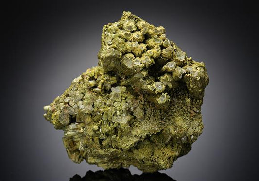 CC12295 specimen image