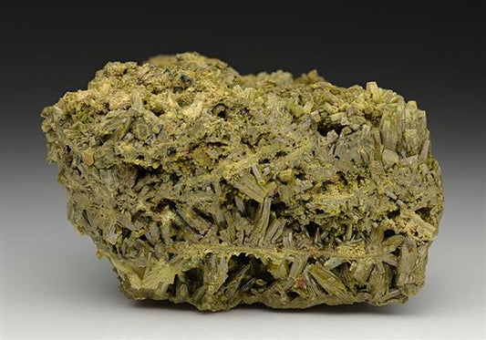 CC12297 specimen image