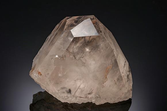 CC12339 specimen image