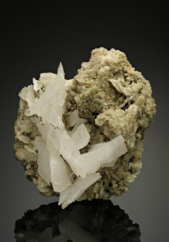 CC12343 specimen image