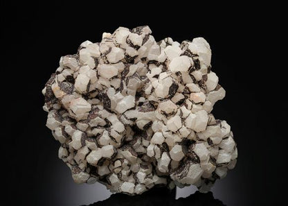 CC12345 specimen image