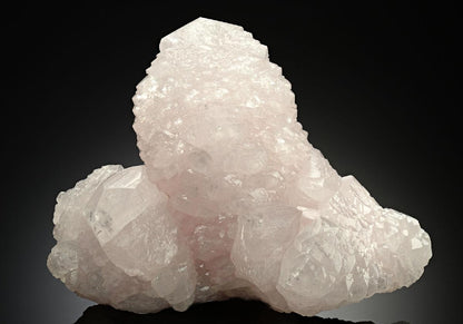CC12361 specimen image