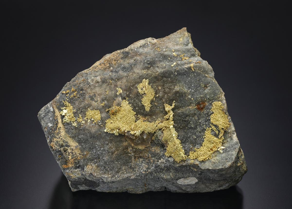 CC12434 specimen image