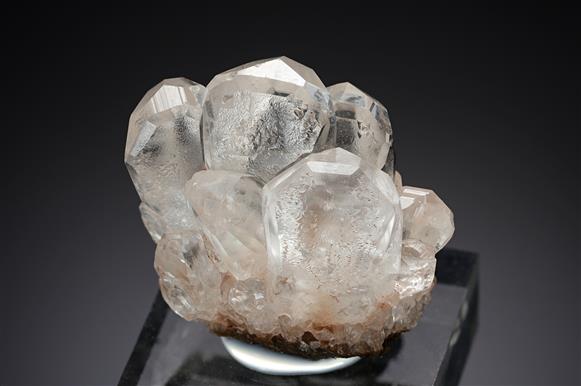 CC12445 specimen image