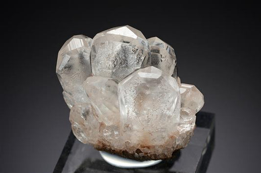 CC12445 specimen image