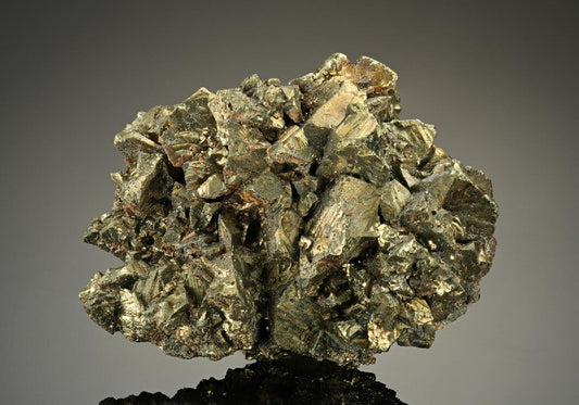 CC12471 specimen image