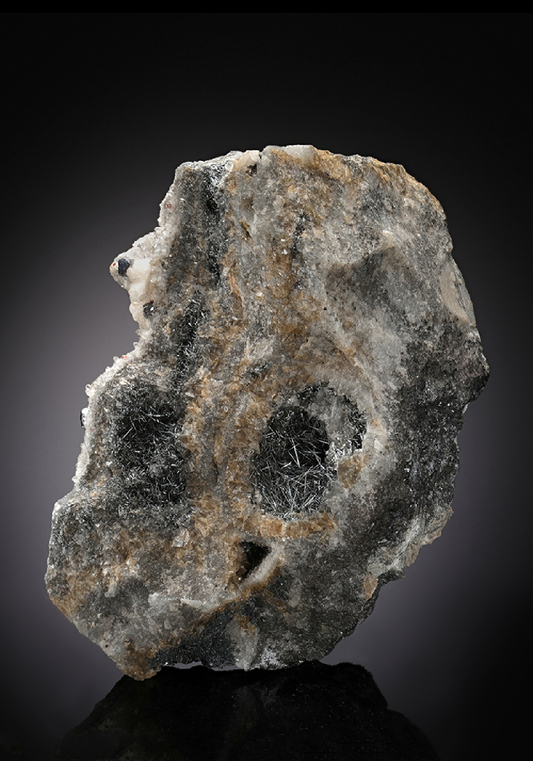 CC12476 specimen image
