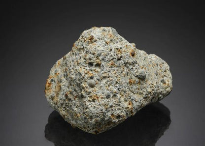 CC12487 specimen image