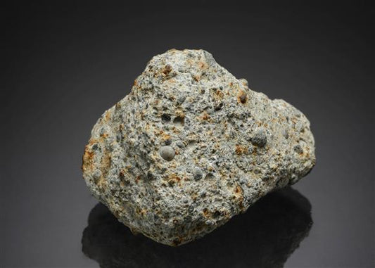 CC12487 specimen image