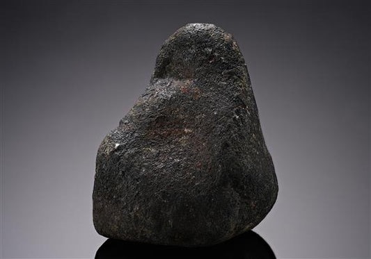 CC12489 specimen image