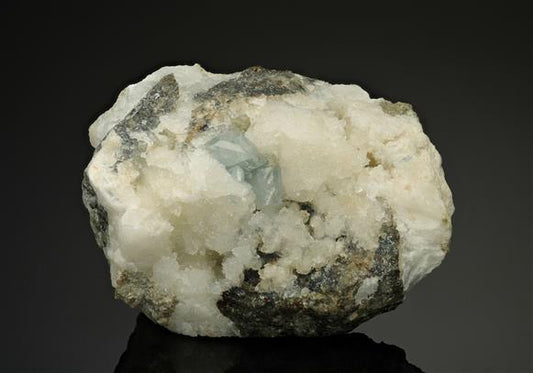 CC12492 specimen image