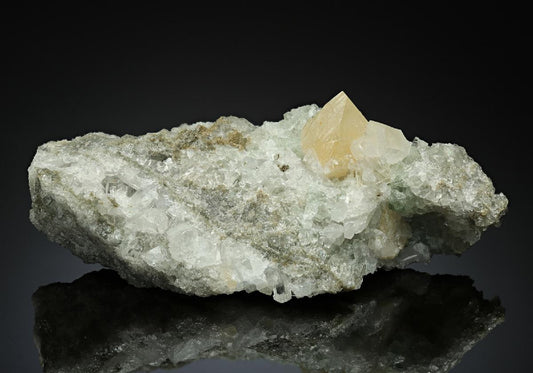 CC12502 specimen image