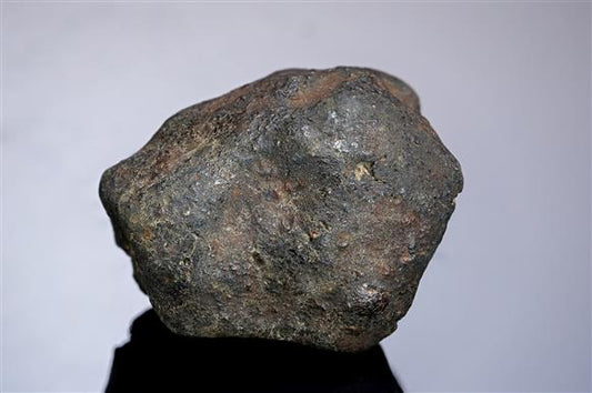 CC12541 specimen image
