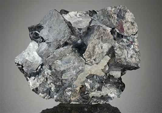 CC12543 specimen image