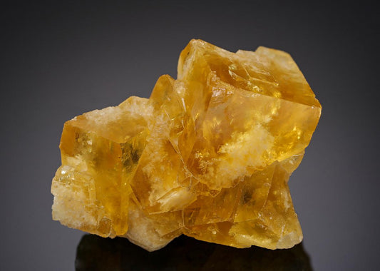 CC12548 specimen image