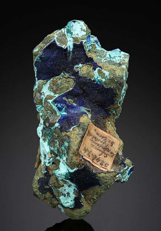 CC12580 specimen image