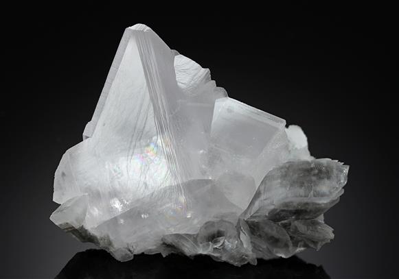 CC12585 specimen image