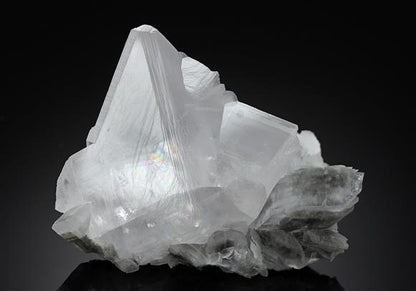CC12585 specimen image