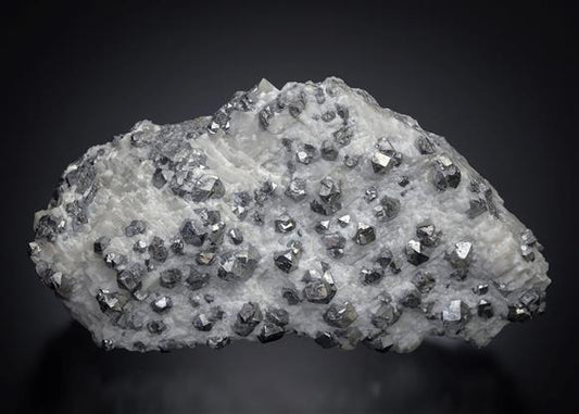 CC12589 specimen image