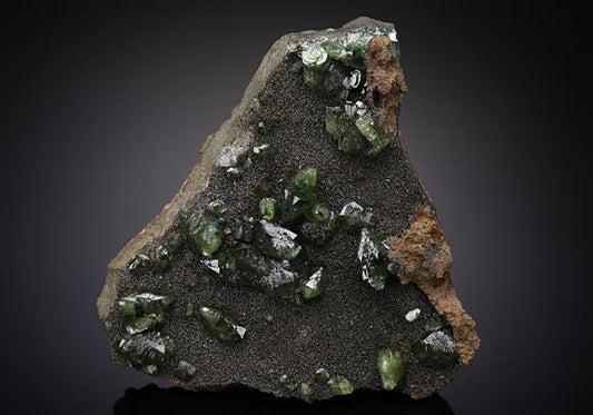CC12597 specimen image