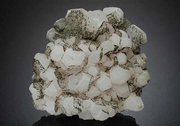 CC12613 specimen image