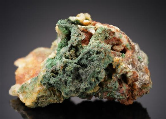 CC12619 specimen image