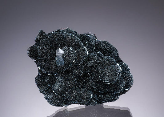 CC12620 specimen image