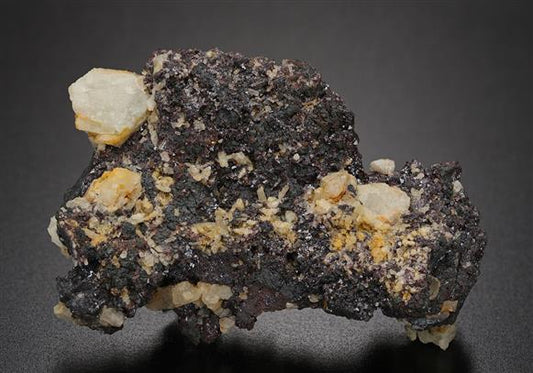 CC12630 specimen image
