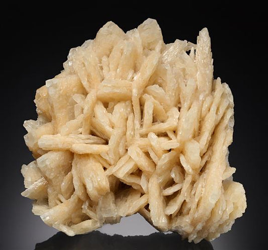 CC12634 specimen image