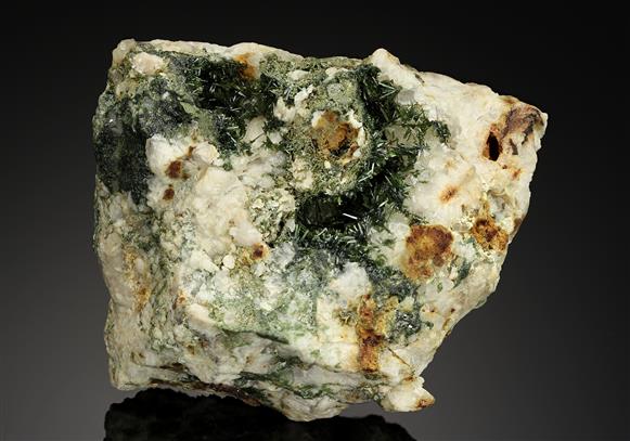 CC12640 specimen image