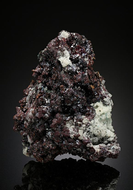 CC12651 specimen image