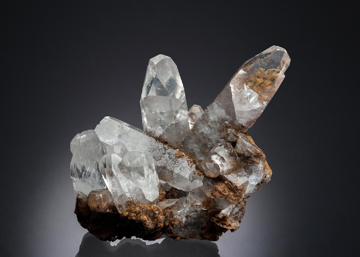 CC12670 specimen image