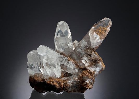 CC12670 specimen image