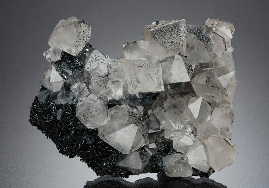 CC12671 specimen image