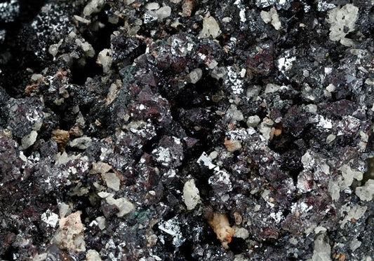 CC12680 specimen image