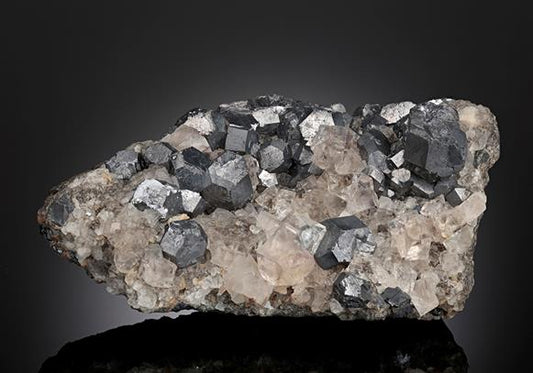 CC12702 specimen image