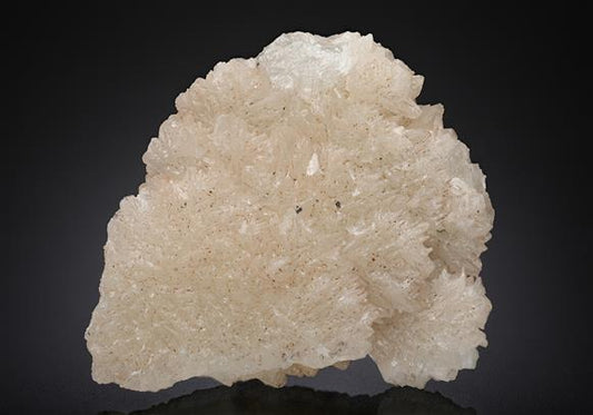 CC12714 specimen image