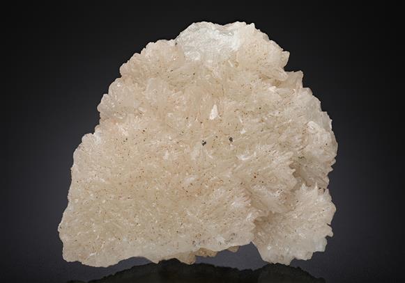 CC12714 specimen image