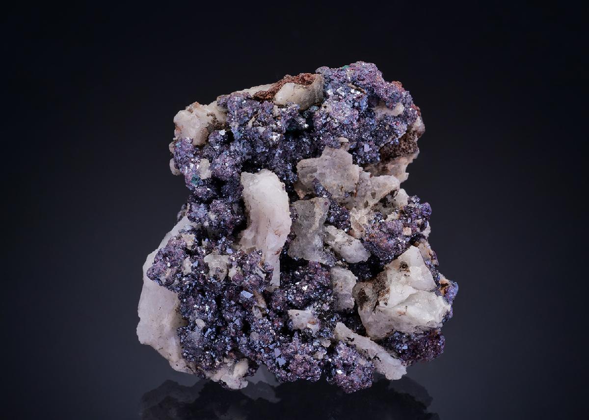 CC12726 specimen image