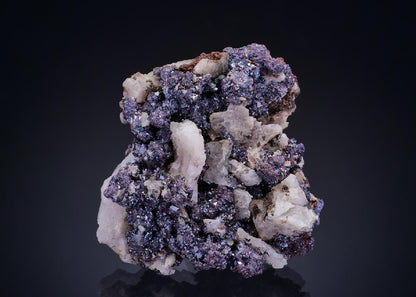 CC12726 specimen image