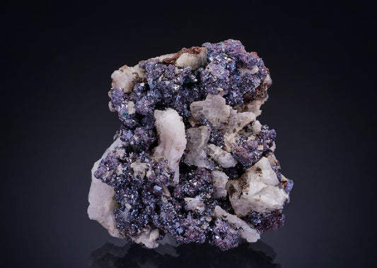 CC12726 specimen image