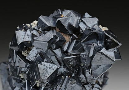 CC12745 specimen image
