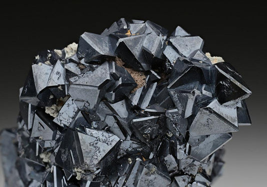 CC12745 specimen image