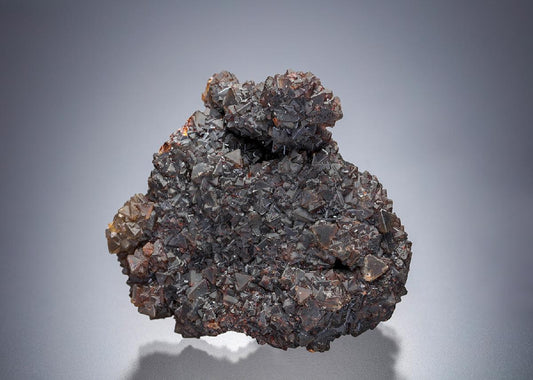 CC12758 specimen image