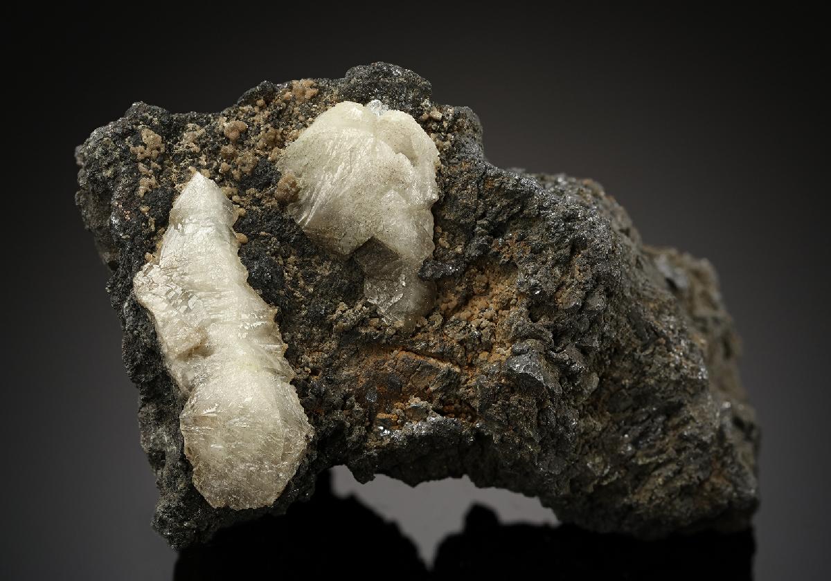 CC12790 specimen image