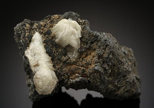 CC12790 specimen image