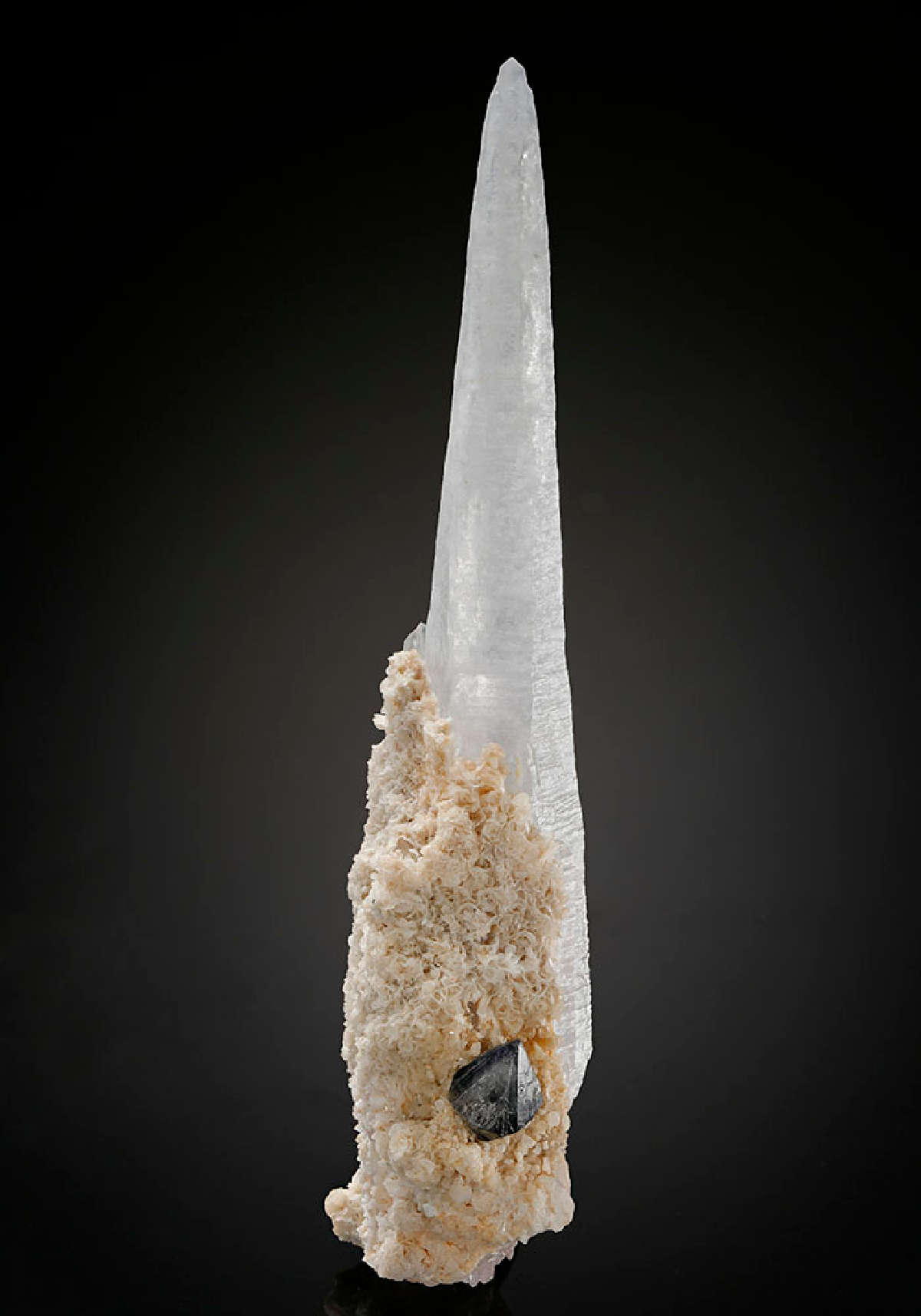 CC12803 specimen image