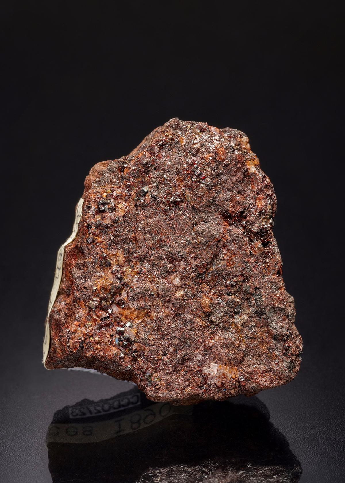 CC12809 specimen image